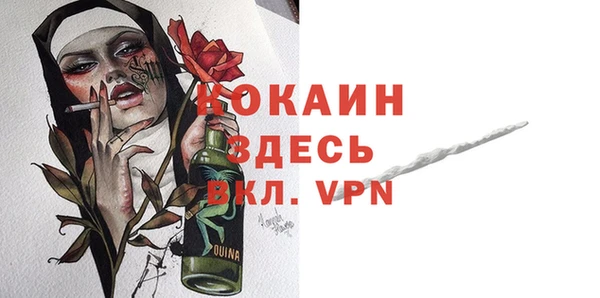 индика Аркадак