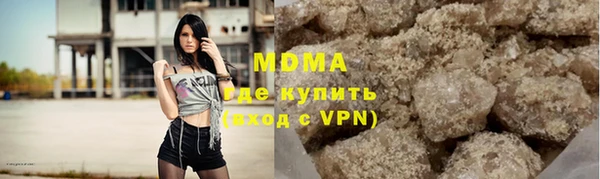 индика Аркадак