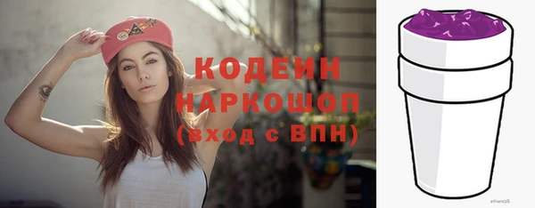 индика Аркадак