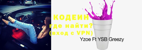 индика Аркадак
