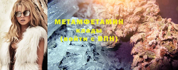 индика Аркадак