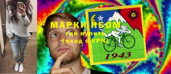 индика Аркадак