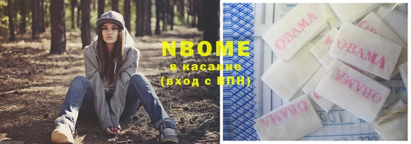 индика Аркадак