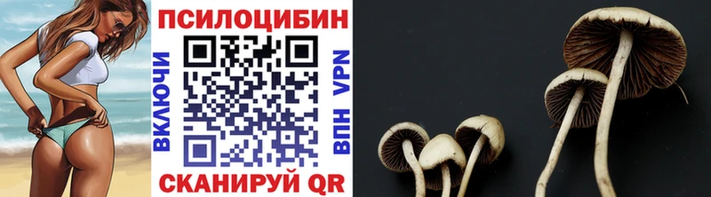 Галлюциногенные грибы ЛСД Острогожск